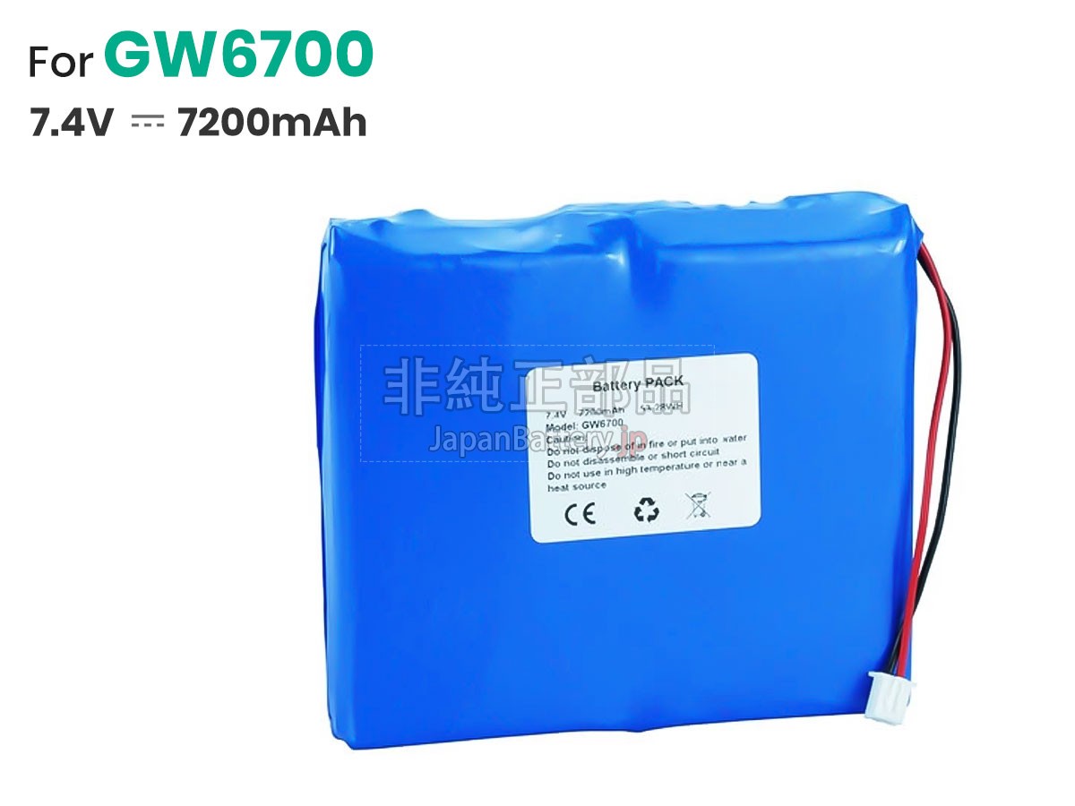 Grandway GW6700 バッテリー交換