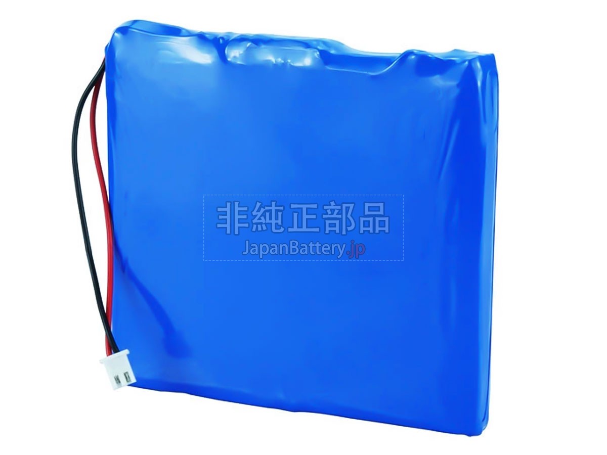 Grandway GW6700 バッテリー交換