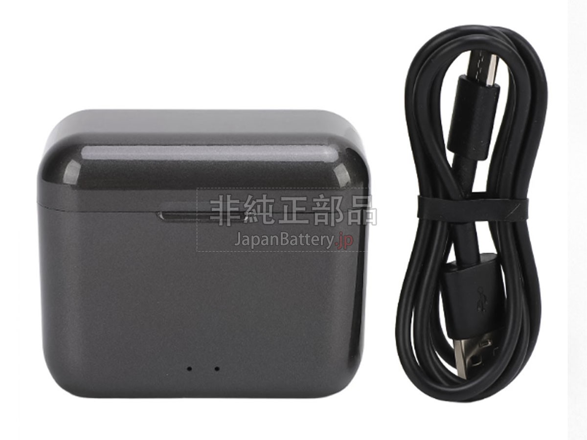 Insta360 CINSBBMA バッテリー交換