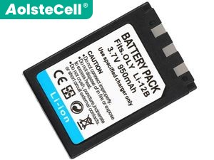 Olympus LI-10B ノートPCバッテリー