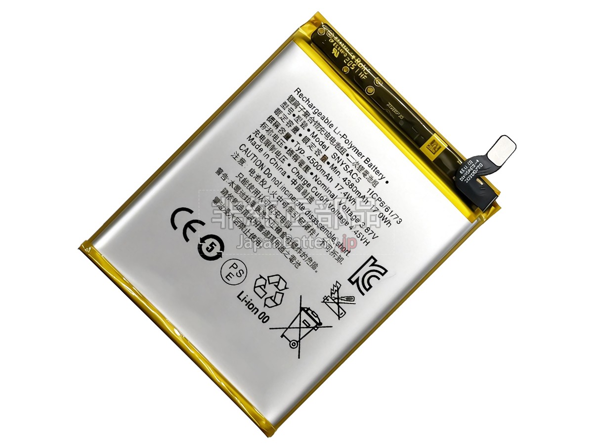 Sony SNYSAC5 バッテリー交換